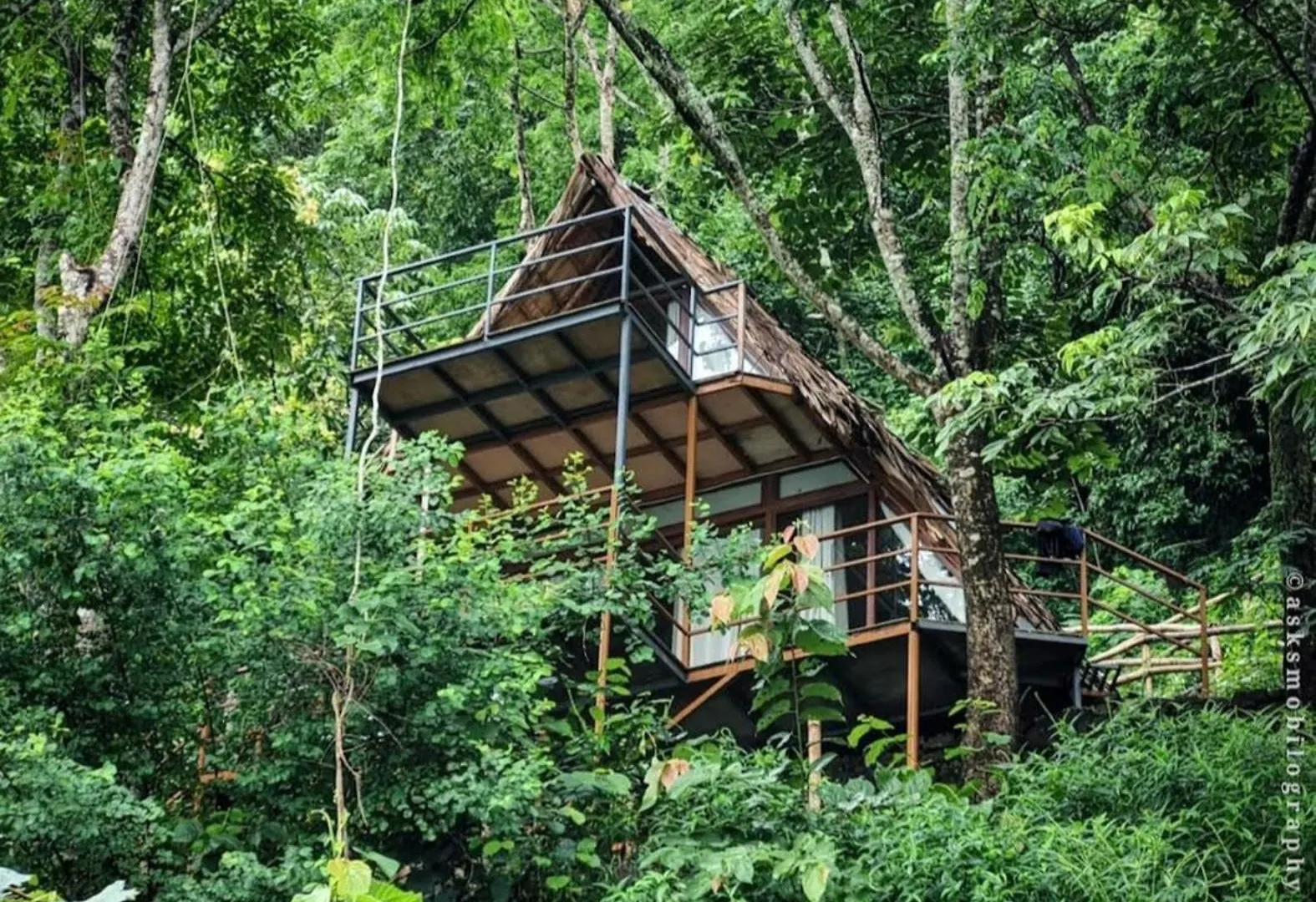 Sunset Valley Kerala Pool Resort - Monsoon Forest Cottage Stay In Idukki With Private Waterfalls, Natural Streams & Breathtaking Views Pīrmed