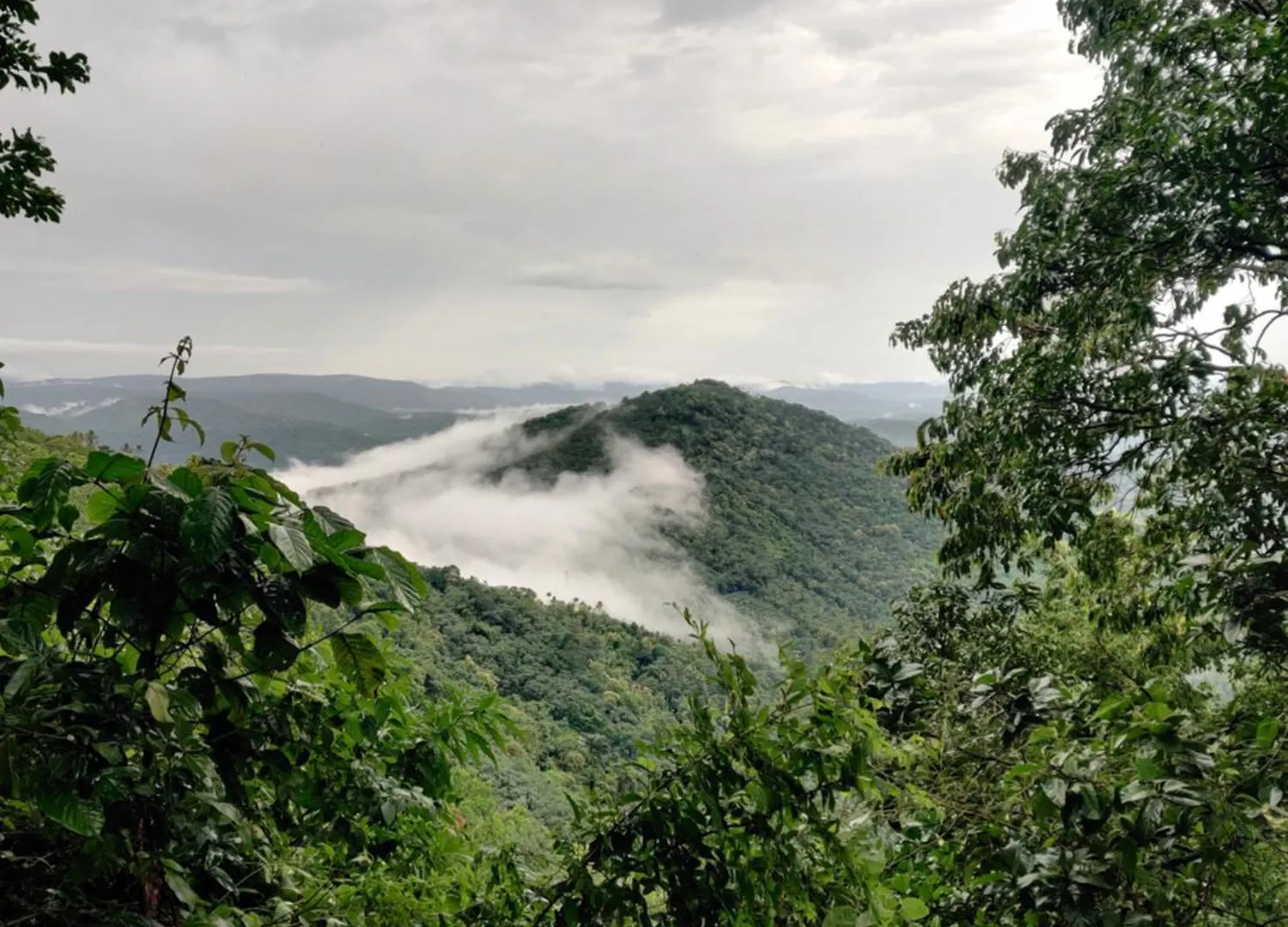 Sunset Valley Kerala Pool Resort - Monsoon Forest Cottage Stay In Idukki With Private Waterfalls, Natural Streams & Breathtaking Views Pīrmed Índia