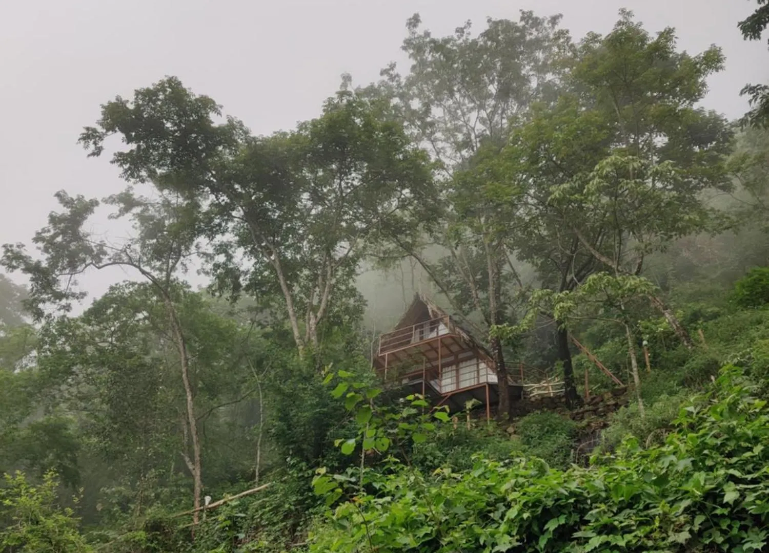 Alojamento de Turismo Selvagem Sunset Valley Kerala Pool Resort - Monsoon Forest Cottage Stay In Idukki With Private Waterfalls, Natural Streams & Breathtaking Views Pīrmed Índia