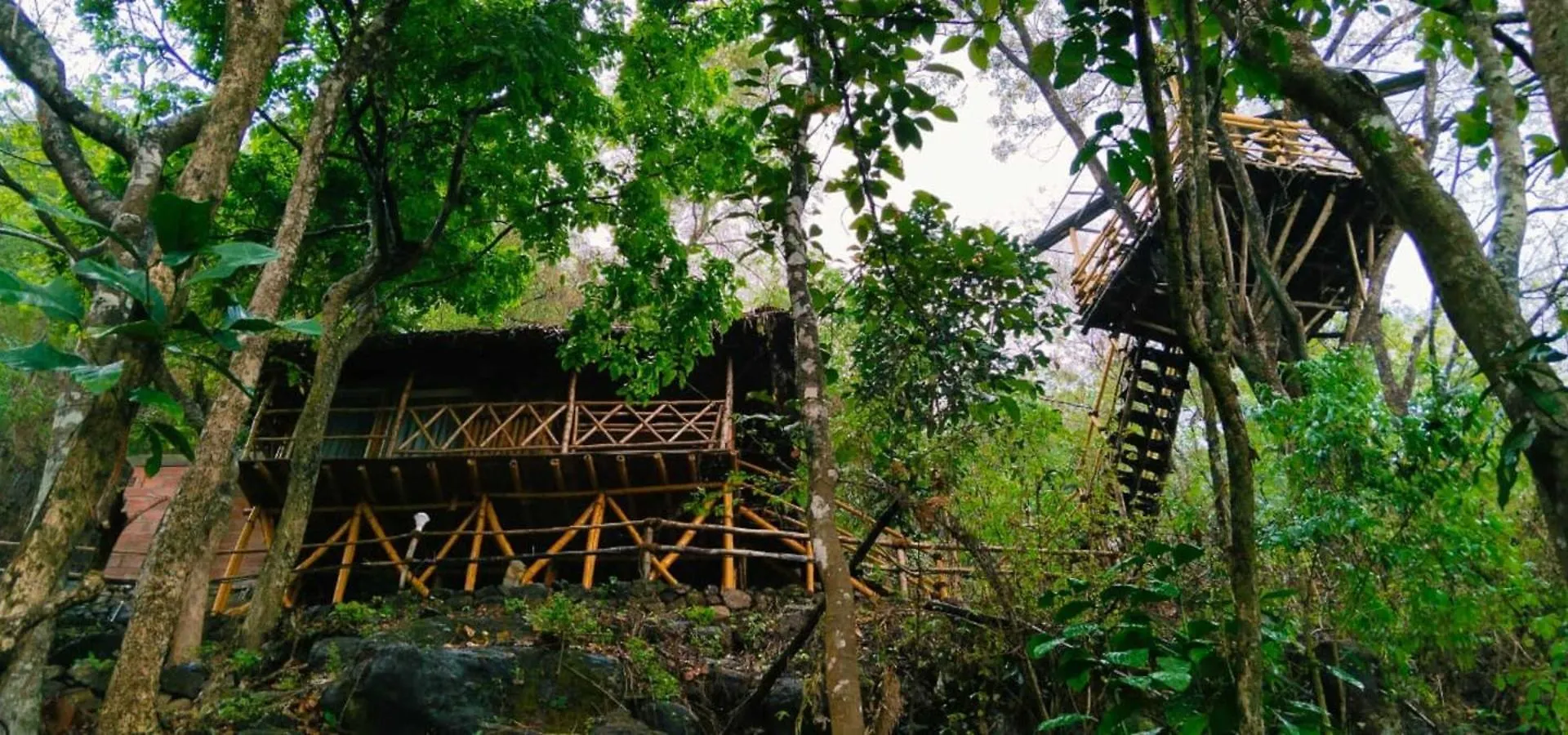 Sunset Valley Kerala Pool Resort - Monsoon Forest Cottage Stay In Idukki With Private Waterfalls, Natural Streams & Breathtaking Views Pīrmed Alojamento de Turismo Selvagem