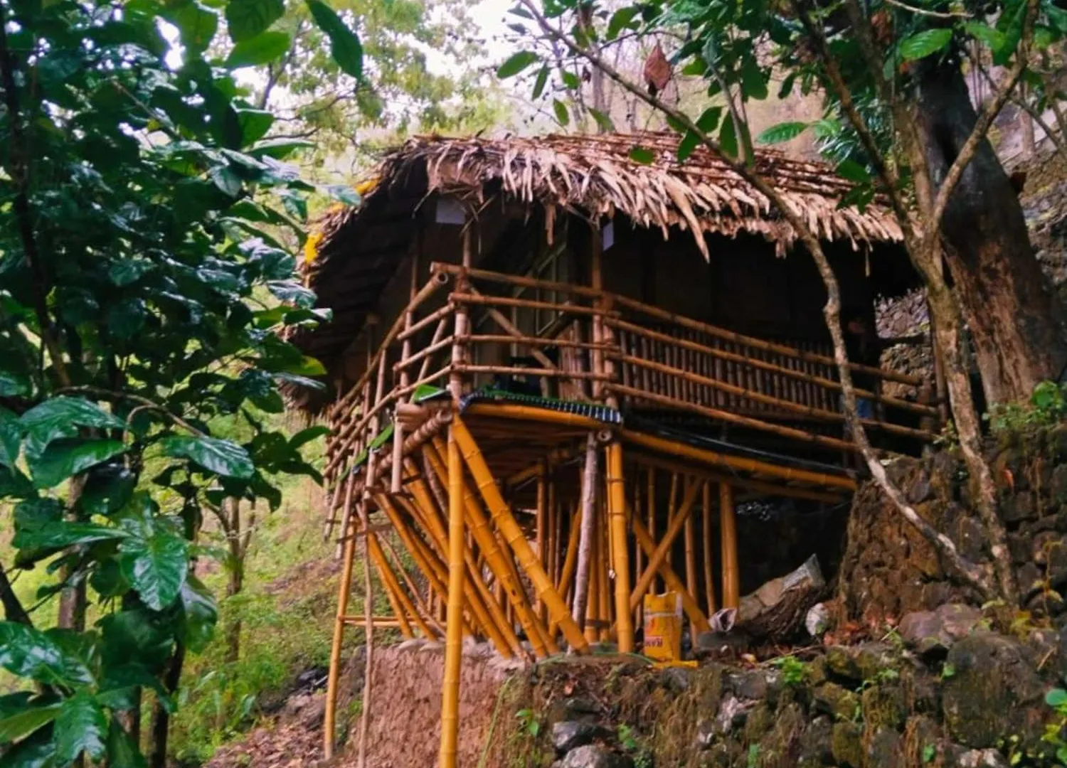 Alojamento de Turismo Selvagem Sunset Valley Kerala Pool Resort - Monsoon Forest Cottage Stay In Idukki With Private Waterfalls, Natural Streams & Breathtaking Views Pīrmed Índia