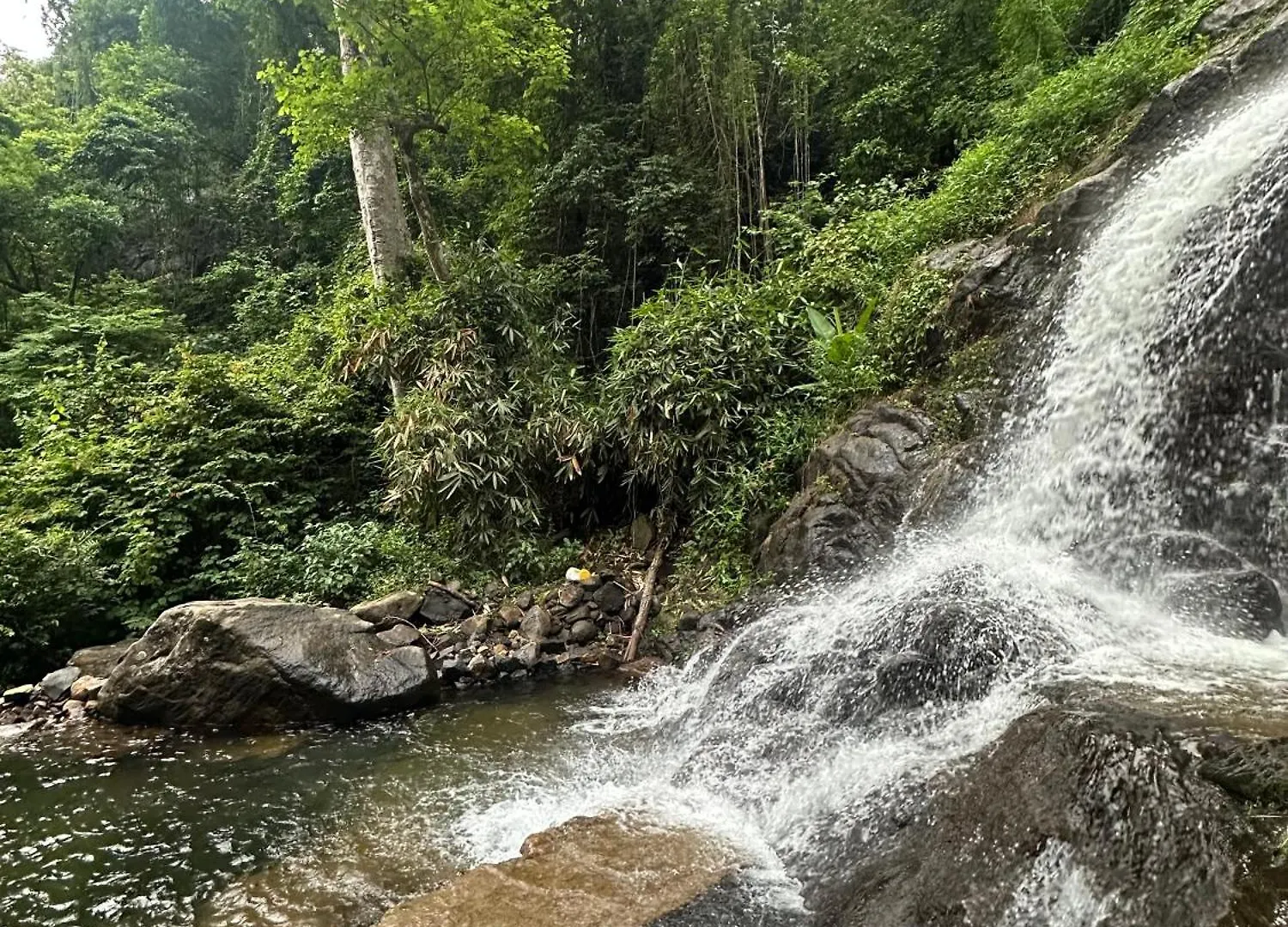 Alojamento de Turismo Selvagem Sunset Valley Kerala Pool Resort - Monsoon Forest Cottage Stay In Idukki With Private Waterfalls, Natural Streams & Breathtaking Views Pīrmed Índia