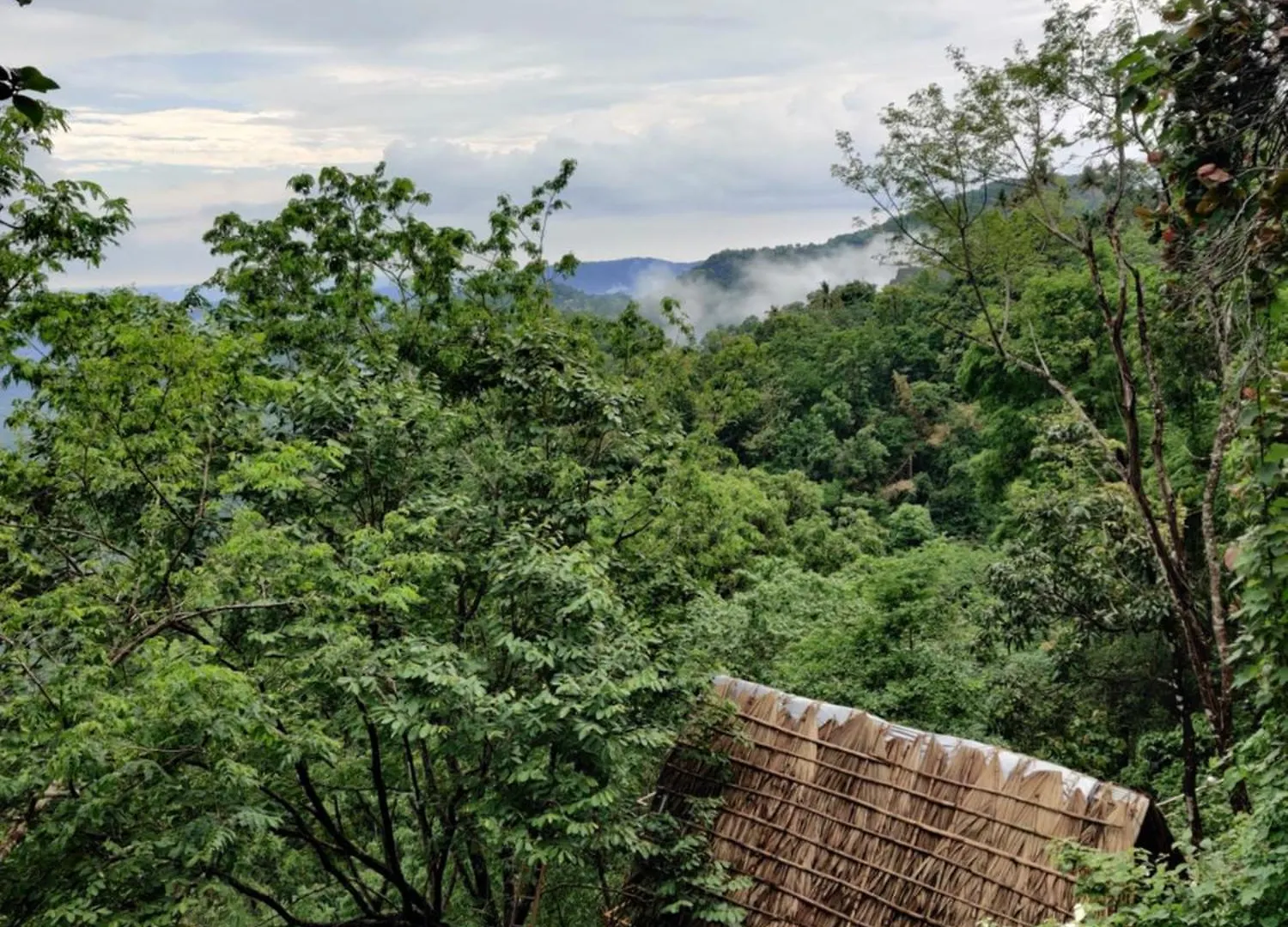 Sunset Valley Kerala Pool Resort - Monsoon Forest Cottage Stay In Idukki With Private Waterfalls, Natural Streams & Breathtaking Views Pirmed 0*,