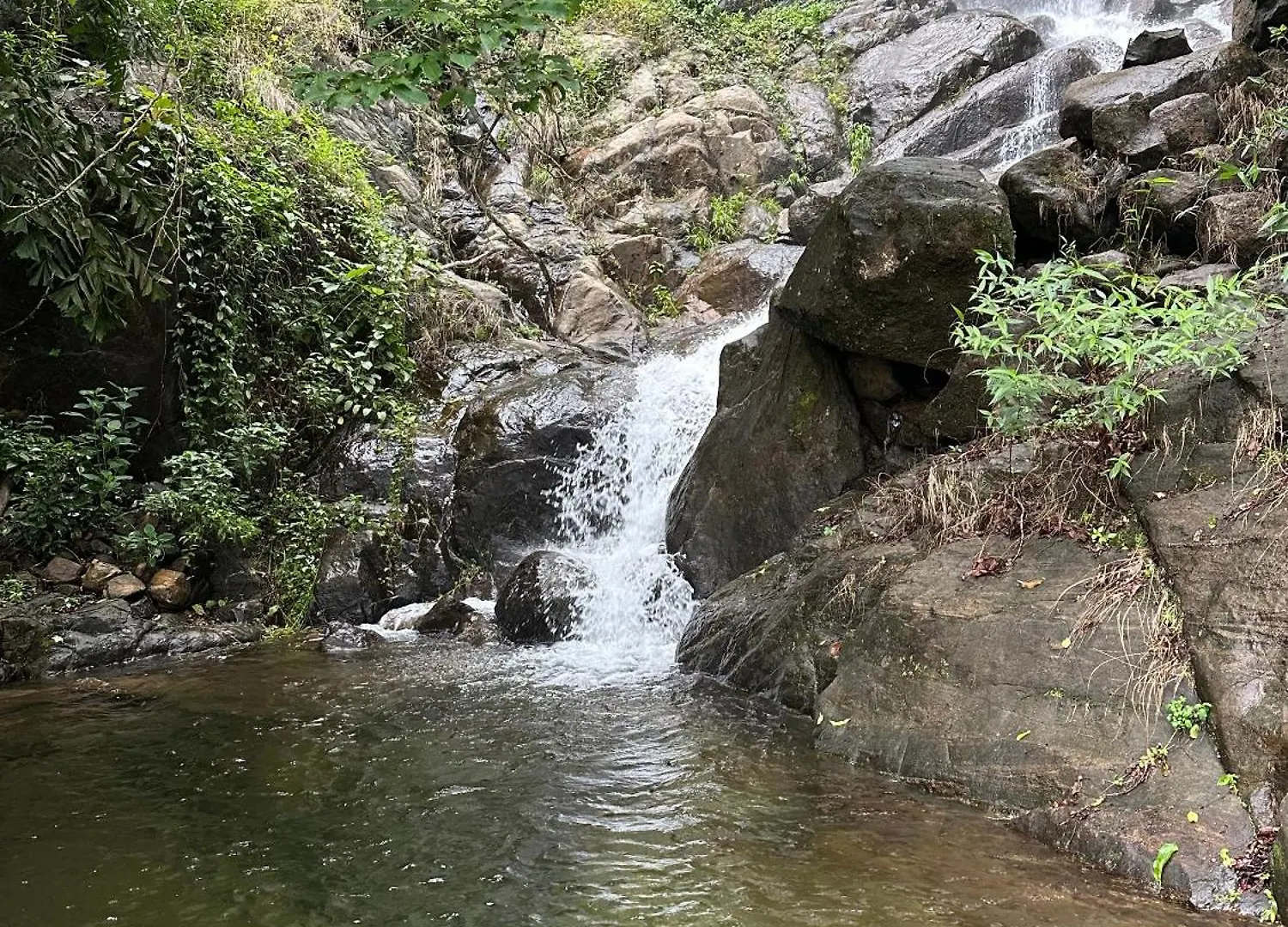 Sunset Valley Kerala Pool Resort - Monsoon Forest Cottage Stay In Idukki With Private Waterfalls, Natural Streams & Breathtaking Views Pirmed 0*,  India